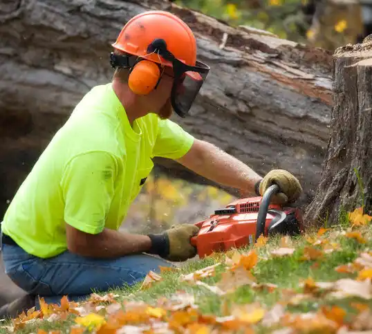 tree services Waconia